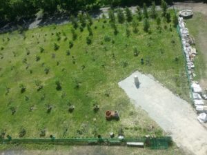 На территории яблоневого сада около Спасо-Преображенского храма с. Батурино готовится площадка для установки памятника архимандриту Антонину (Капустину).